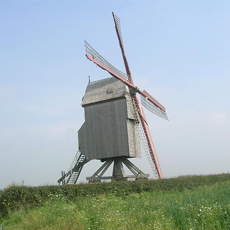 B&B Sint Blasius Hof Zwalm Zewnętrze zdjęcie